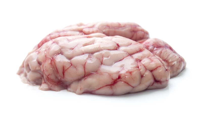 Goat/Lamb Brain