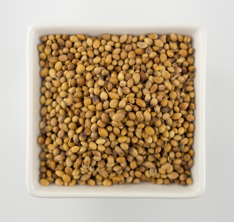 Corriander Seeds 14 oz Corriander Seeds 14 oz