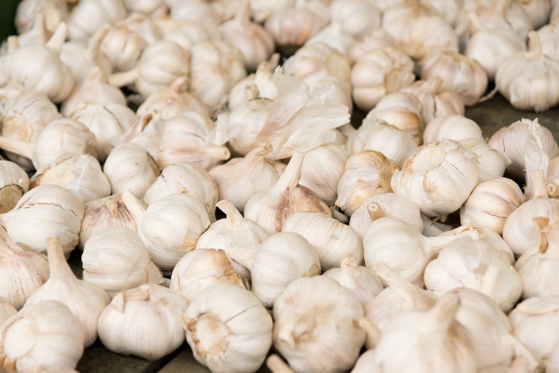 Fresh Garlic $ 3.99/lb