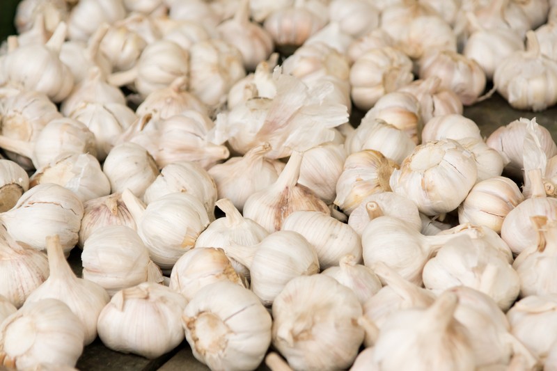 Fresh Garlic $ 3.99/lb Fresh Garlic $ 3.99/lb